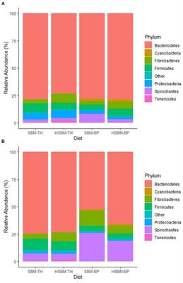 Characterizing Effects of Ingredients Differing in Ruminally Degradable Protein and Fiber Supplies on the Ovine Rumen Microbiome Using Next-Generation Sequencing